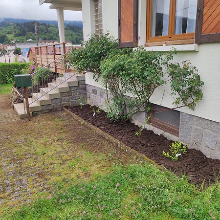 Gite Papillon 6 A14 Personnes - Jacuzzi Gérardmer Exterior foto